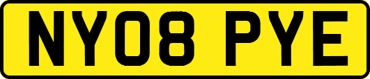 NY08PYE