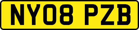 NY08PZB