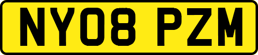 NY08PZM