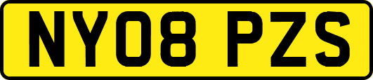 NY08PZS