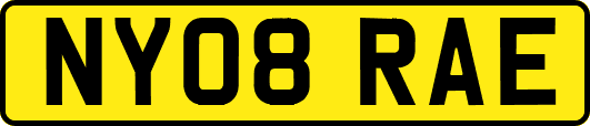 NY08RAE