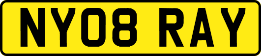 NY08RAY