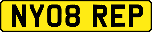 NY08REP
