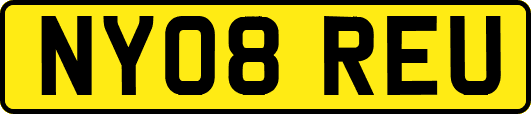 NY08REU