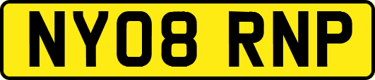 NY08RNP