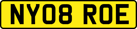NY08ROE