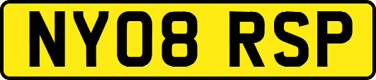 NY08RSP