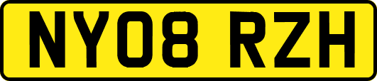NY08RZH