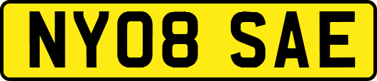 NY08SAE