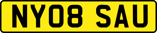 NY08SAU