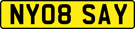 NY08SAY