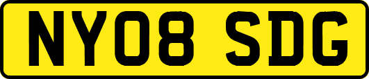 NY08SDG