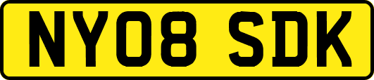 NY08SDK