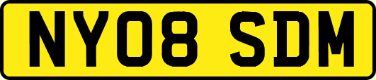 NY08SDM