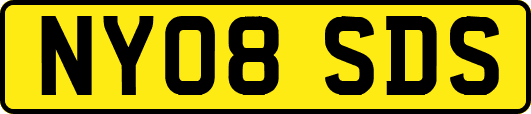 NY08SDS