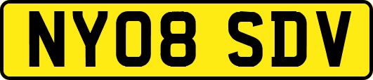 NY08SDV