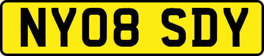 NY08SDY