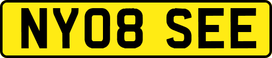 NY08SEE