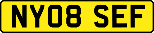 NY08SEF