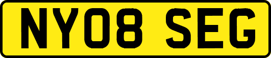 NY08SEG