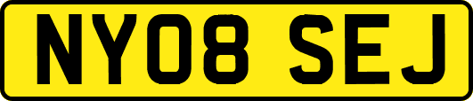 NY08SEJ