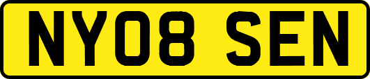 NY08SEN