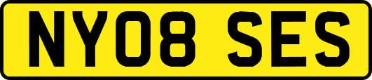 NY08SES