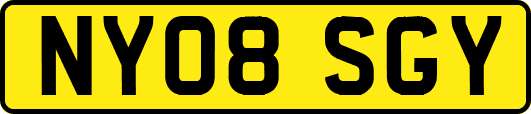 NY08SGY