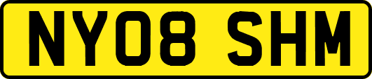 NY08SHM