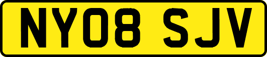 NY08SJV