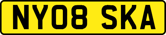 NY08SKA