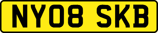 NY08SKB