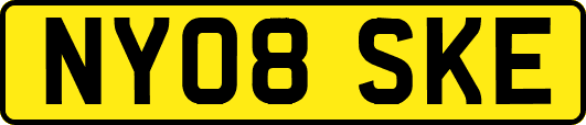 NY08SKE