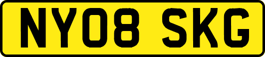 NY08SKG