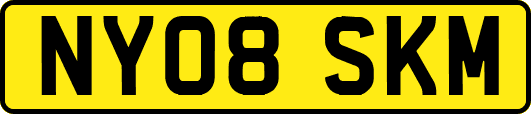 NY08SKM