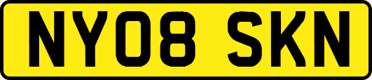 NY08SKN