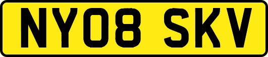 NY08SKV