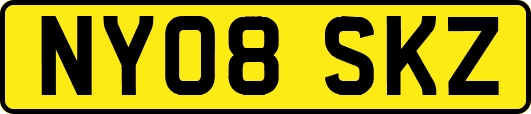 NY08SKZ