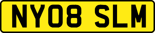 NY08SLM