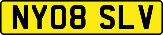 NY08SLV