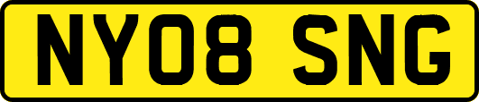 NY08SNG