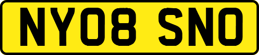 NY08SNO