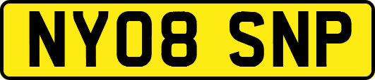 NY08SNP