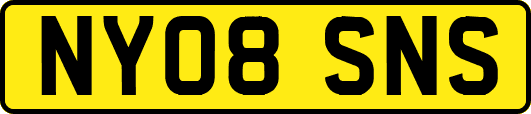 NY08SNS