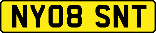 NY08SNT