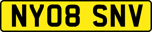 NY08SNV