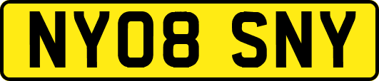 NY08SNY