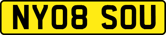 NY08SOU