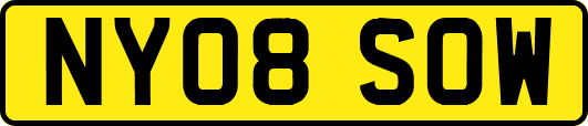 NY08SOW