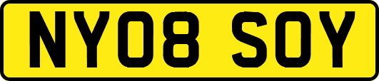 NY08SOY